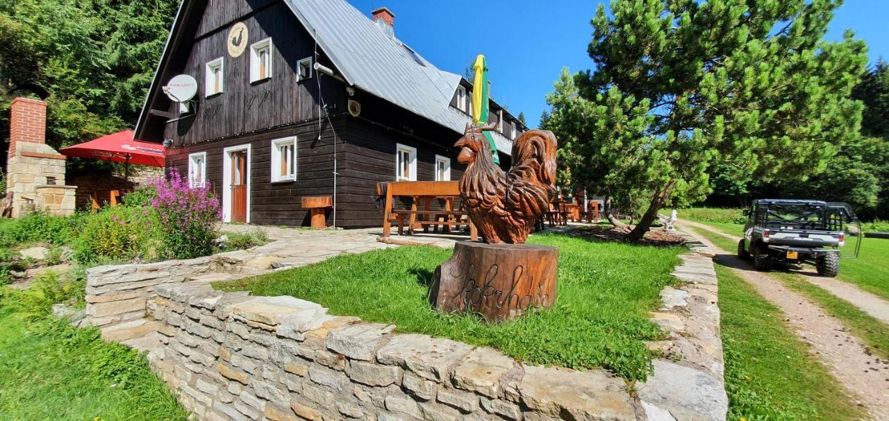 Отель Horska Bouda U Kokrhace Долни-Мала-Упа Экстерьер фото