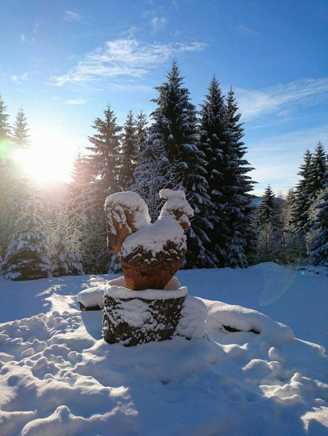 Отель Horska Bouda U Kokrhace Долни-Мала-Упа Экстерьер фото