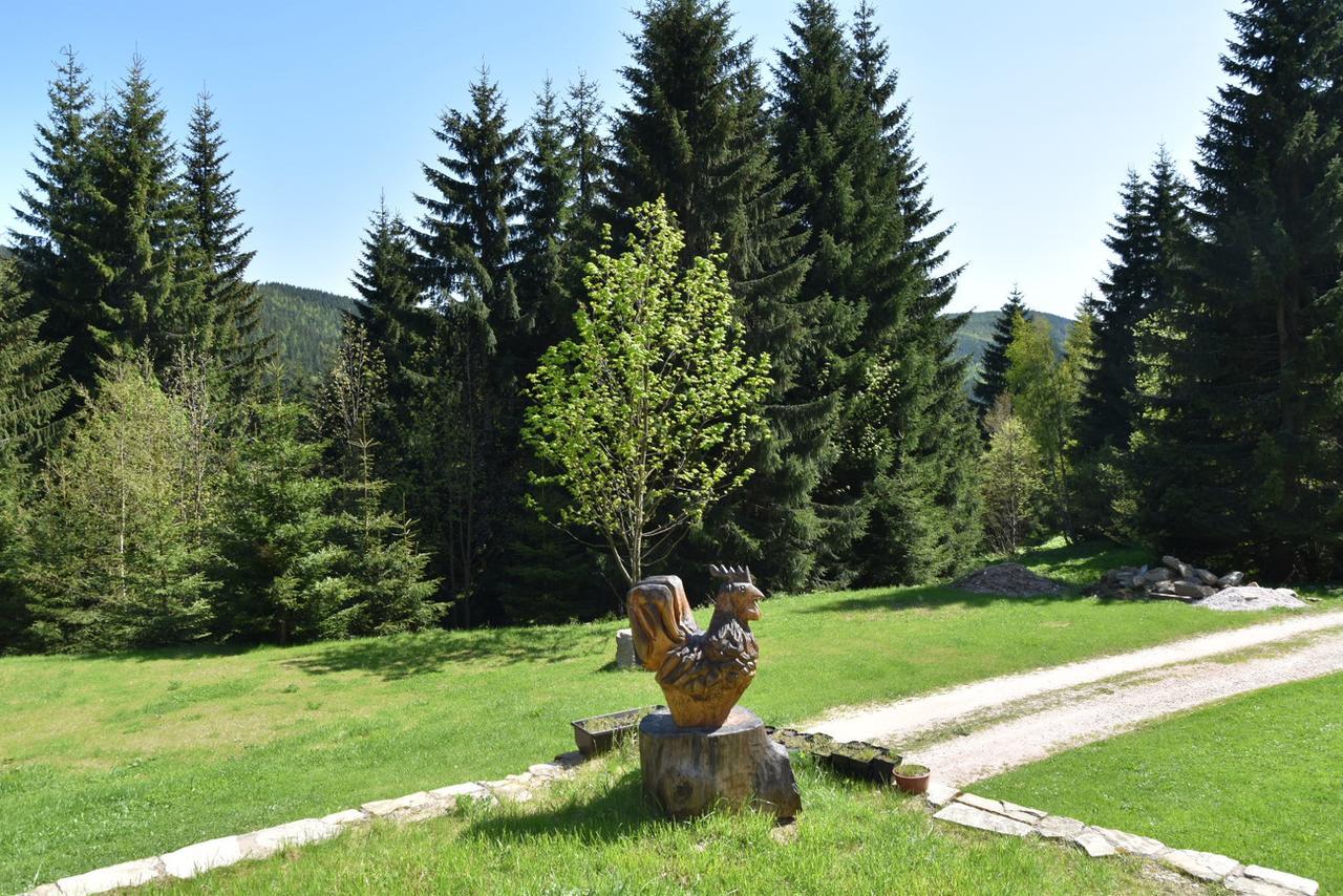 Отель Horska Bouda U Kokrhace Долни-Мала-Упа Экстерьер фото